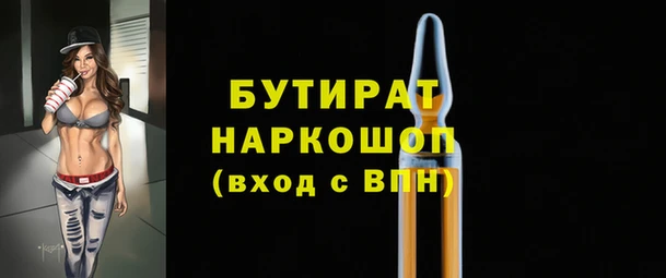 индика Кулебаки