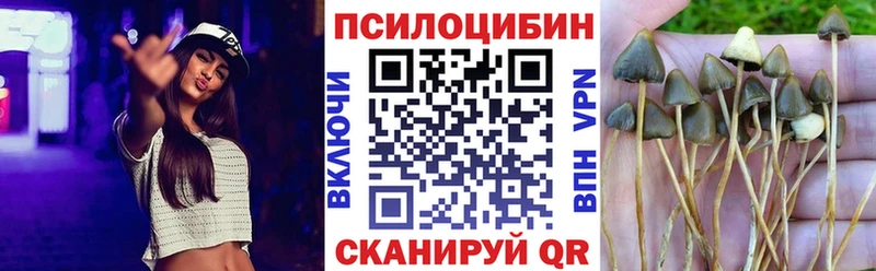 Галлюциногенные грибы Psilocybe  Купить где  Бородино 